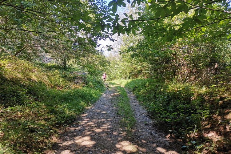 Hiking - Klosterwald and Honcourt Castle