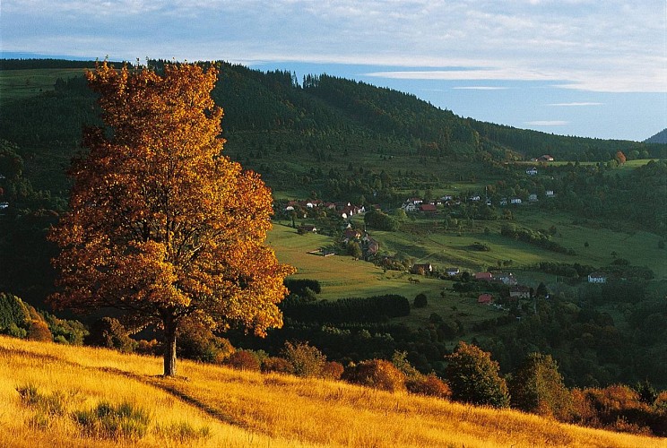 Cycling circuit B06: From Grendelbruch to La Perheux