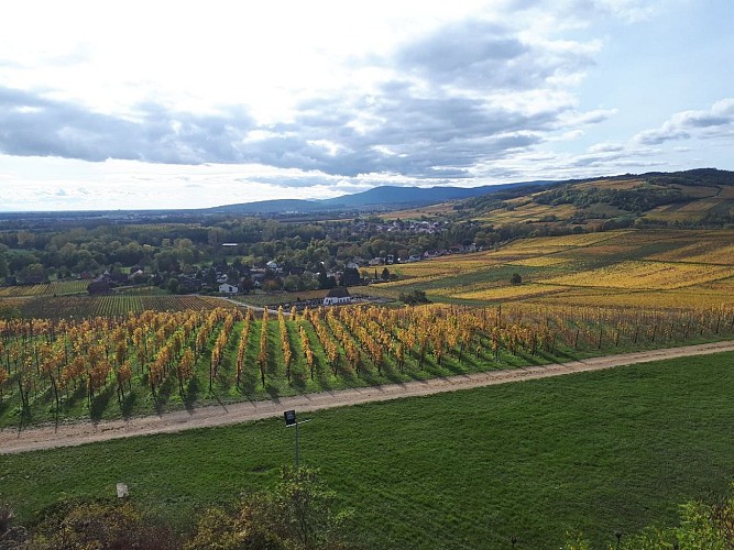 Recherche des mots magiques - Wolxheim