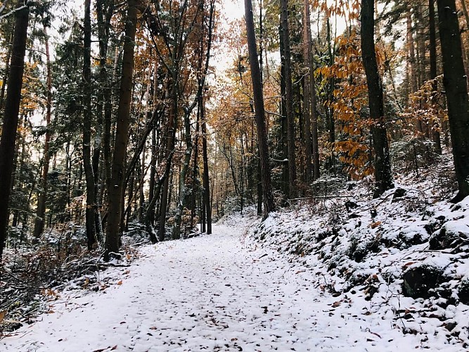 Circuit rando - la tour du Faudé