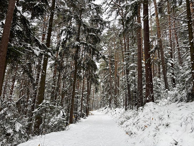 Circuit rando - la tour du Faudé