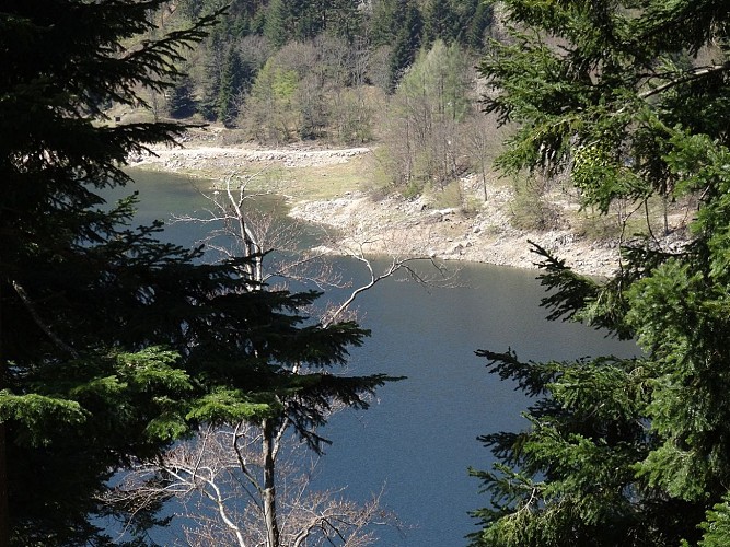 Marche Santé - tour du lac de Kruth - Wildenstein
