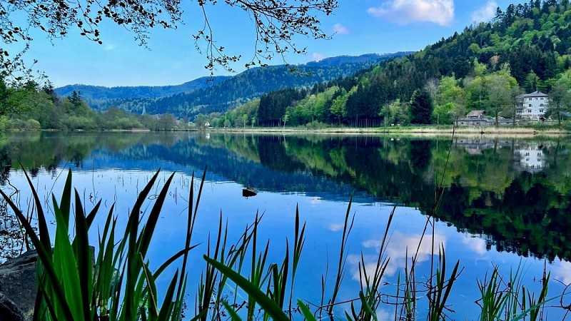 Lac de Sewen