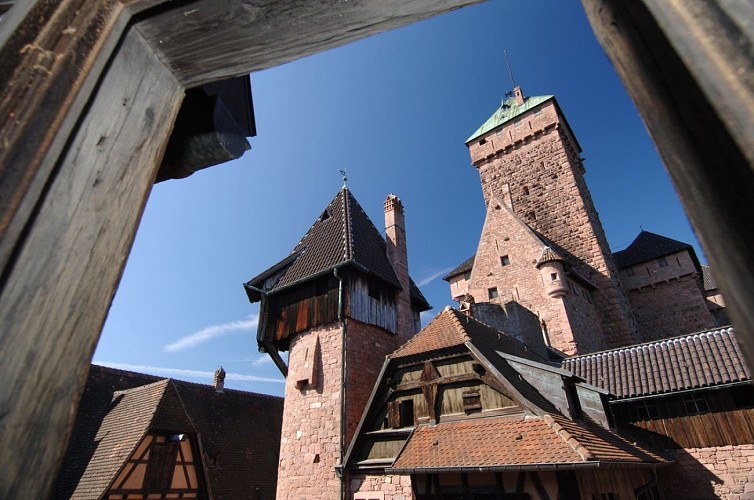 Hiking tour - towards Haut-Koenigsbourg castle