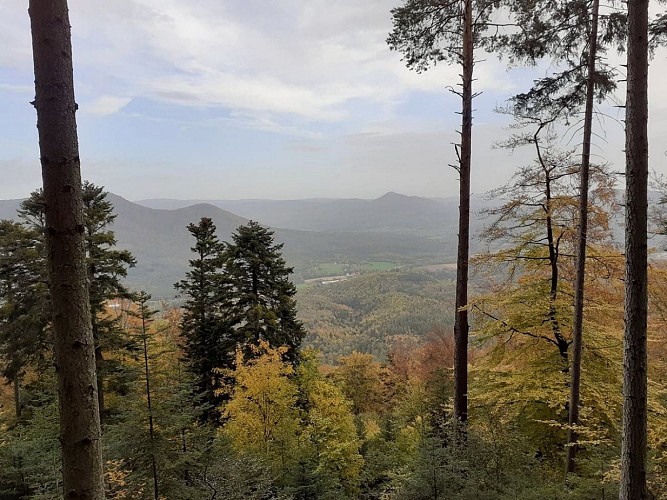 Hiking tour - towards Haut-Koenigsbourg castle