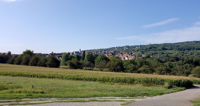 Circuit rando - Autour du Bischenberg