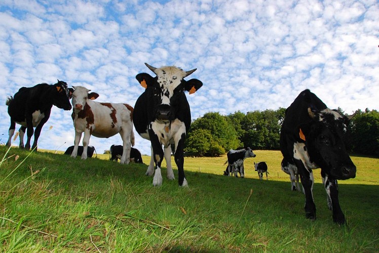 N°18 Le Tour du Val d'Argent