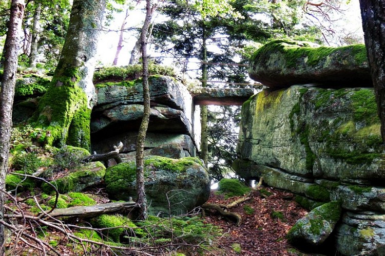N°18 Le Tour du Val d'Argent