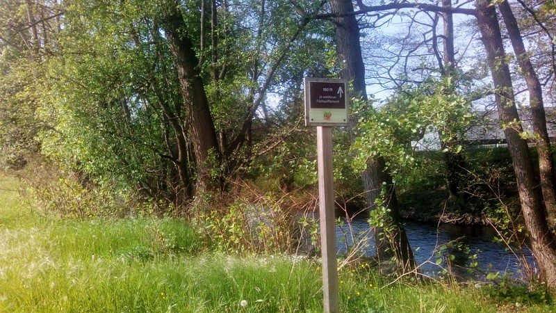 La partie échauffement du parcours de santé de Molsheim
