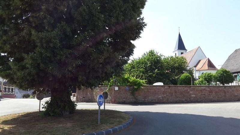 Wanderung : Circuit Panoramique