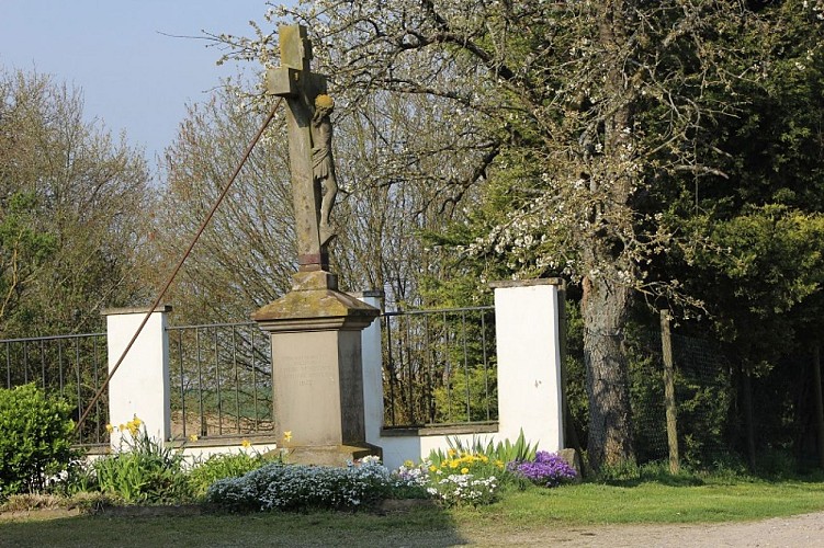 Wanderung : Circuit Panoramique