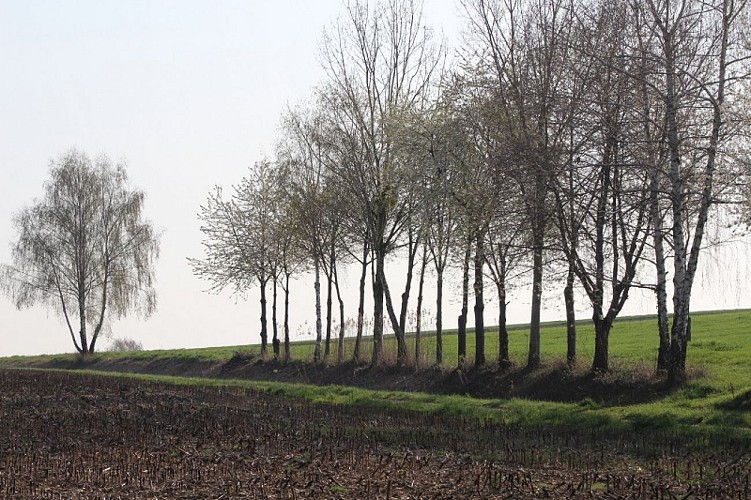 Wanderung : Circuit Panoramique