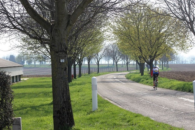 Sentier pédestre : Circuit Panoramique