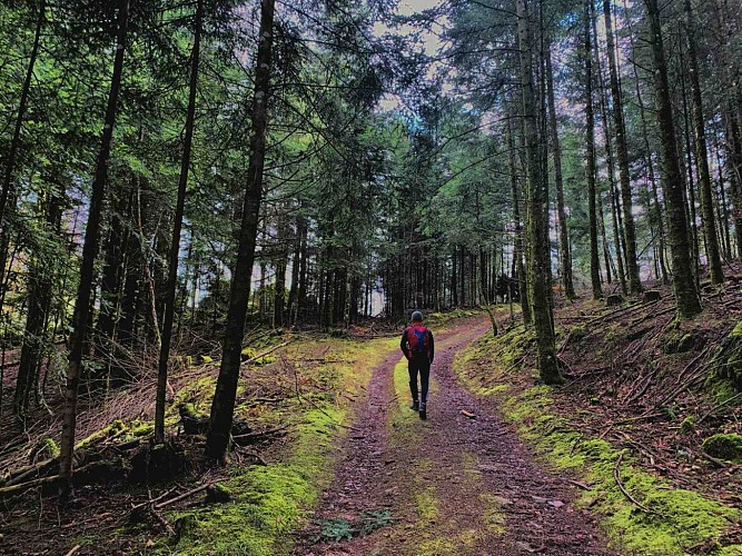 Village de Bourbach-le-Haut