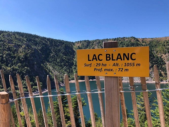 Hiking tour - the little tour of the lac Blanc