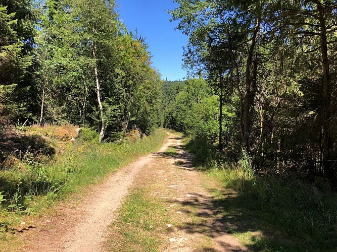 Circuit rando - le petit tour du lac Blanc