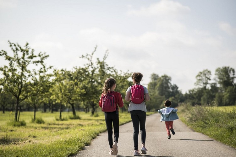 Walking tour: the apple tour