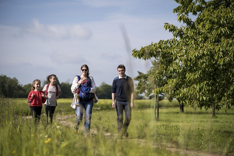Walking tour: the apple tour