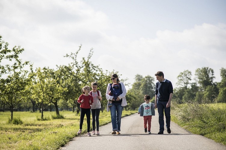 Circuit pédestre : le circuit de la pomme