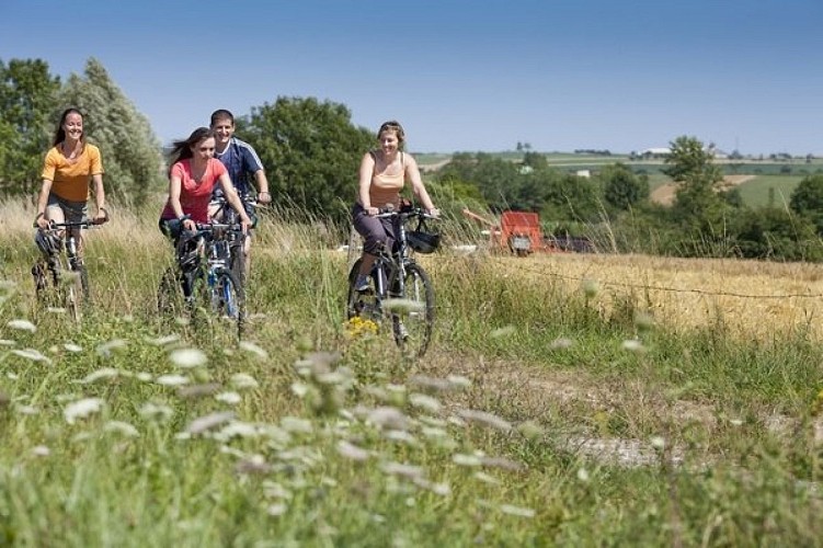 Piste cyclable au départ de Harskirchen