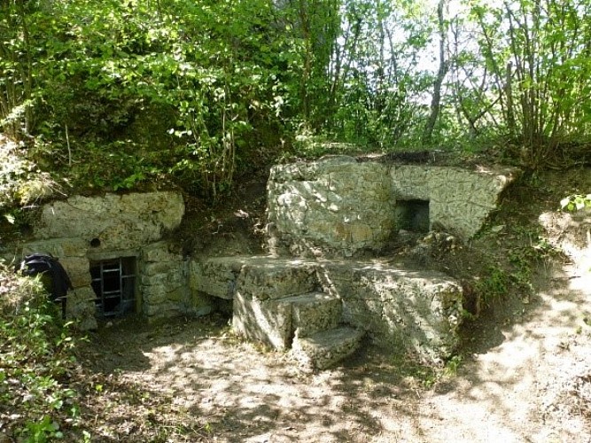 Vestiges sur le sentier botanique du Hirtz