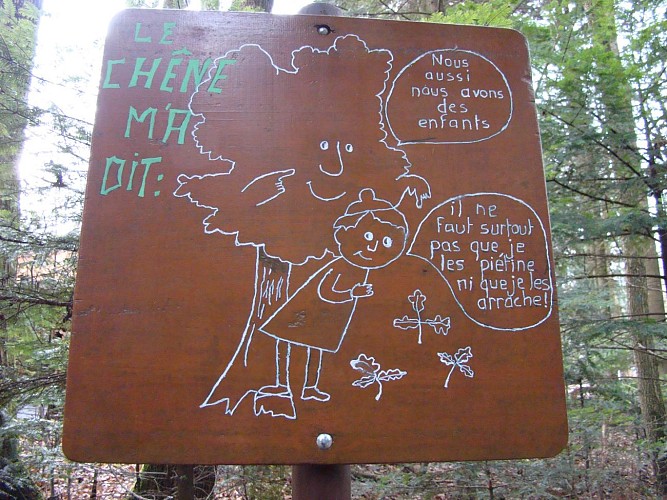 Panneau explicatif du sentier botanique du Hirtzenstein