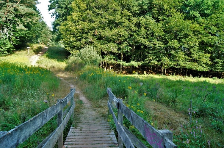 The glassmakers' trail