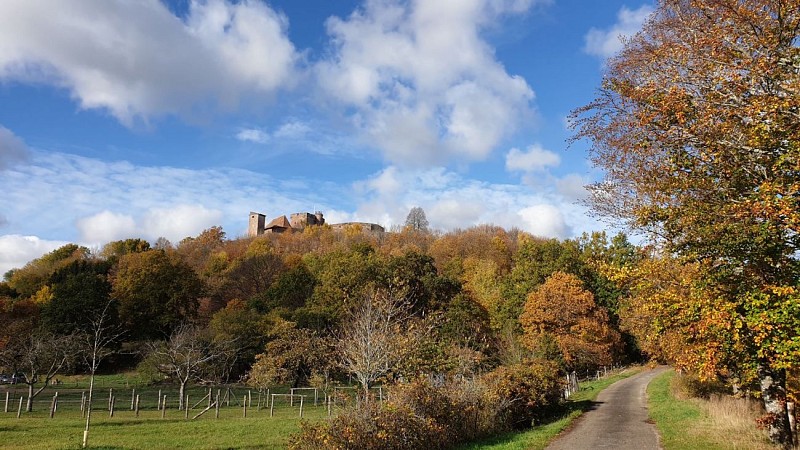 Vue sur le château de Lichtenberg