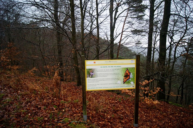 GORNA Trail