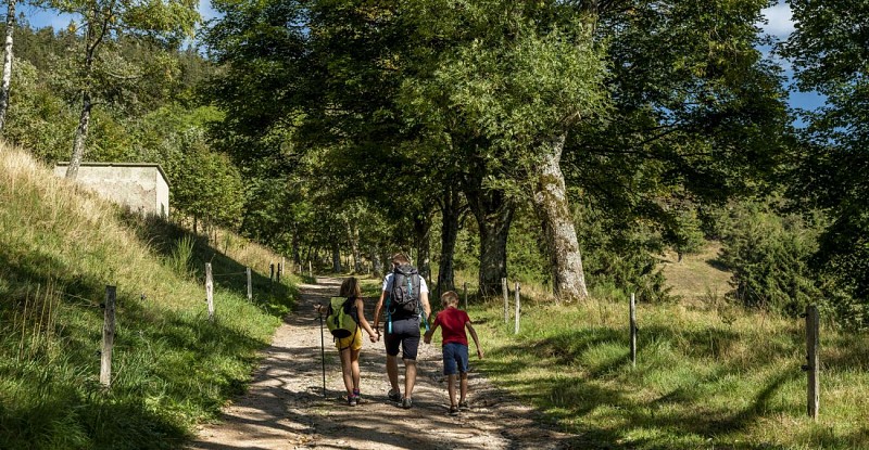 Kinderwagen Rundweg B01: Von Lutzelhouse zum Place des Musiciens
