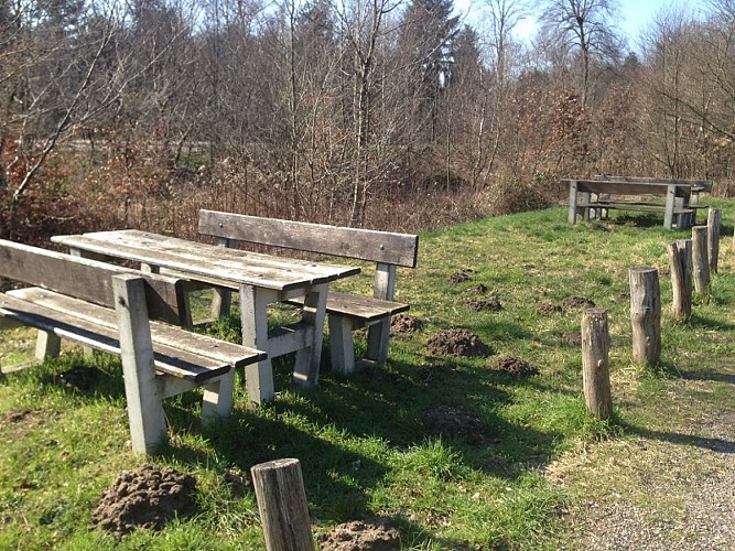 Sentier d'interprétation des tumuli