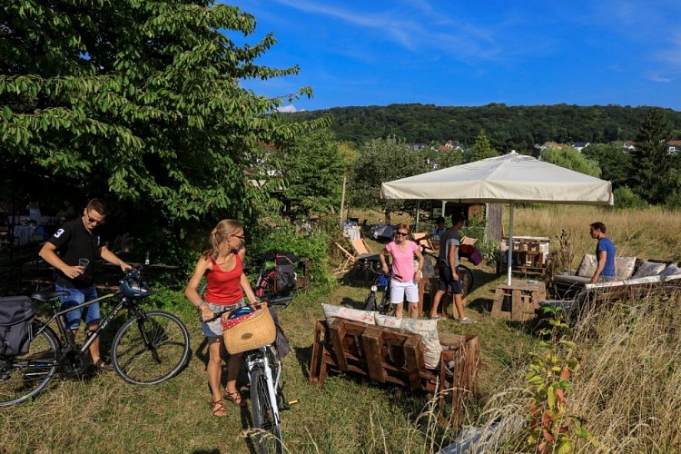 Guinguette d'Illfurth