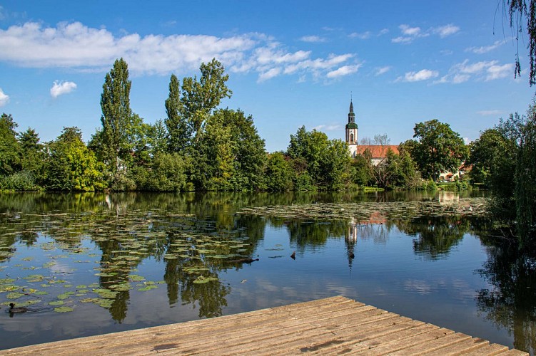 BL463 - Seen und Fischragout