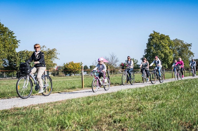 BL463 - Seen und Fischragout