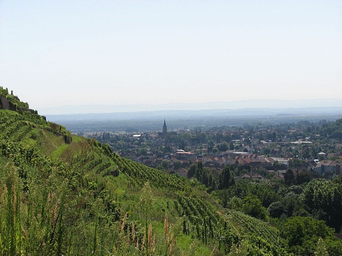 Tag 3 von 3: Rückweg zum Tal von Guebwiller