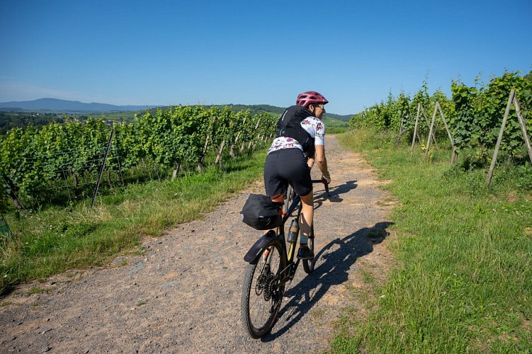 Cycle tour on the cabbage road