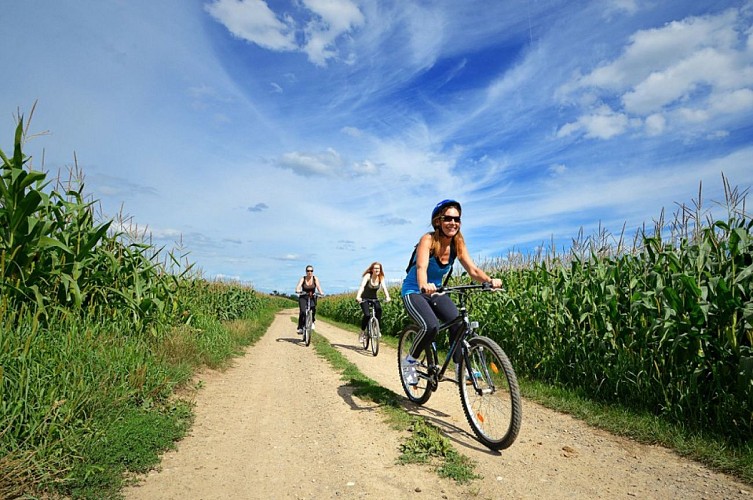 Vélo dans la plaine