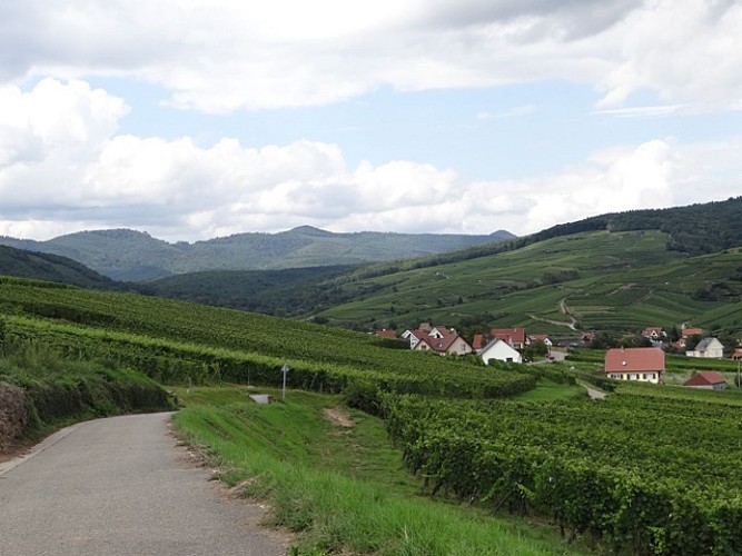 Sur la véloroute du vignoble