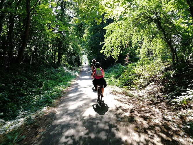 VR VAllée de la Doller