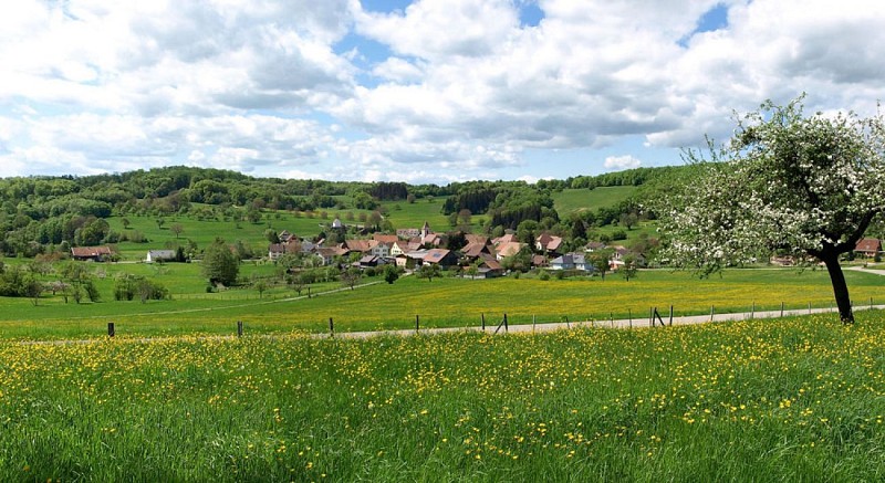 Circuit vélo du Sundgau n°7 - The Upper Largue valley