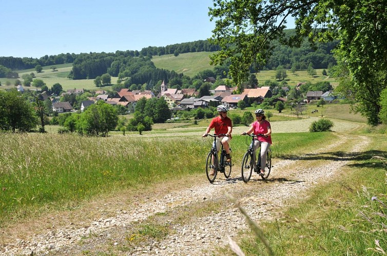 Circuit vélo du Sundgau n°7 - La haute vallée de la Largue