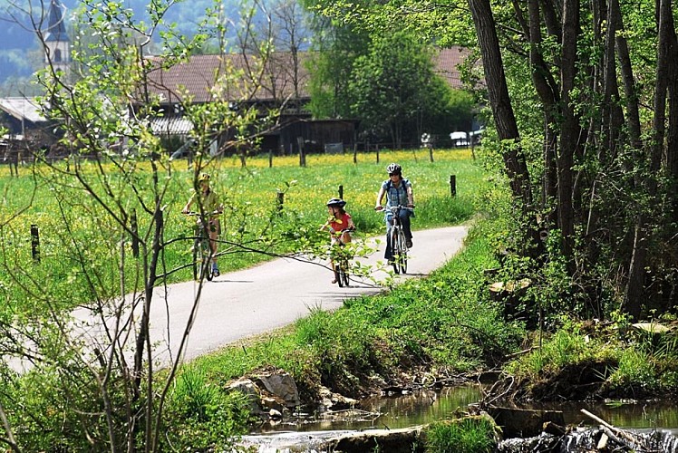 Vélo le long de l'Ill à Raedersdorf