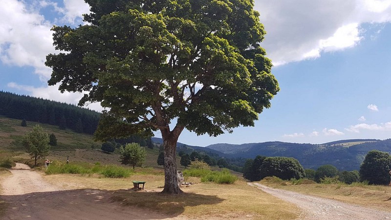 Outdoor stroller circuit C02: around the col de la Perheux