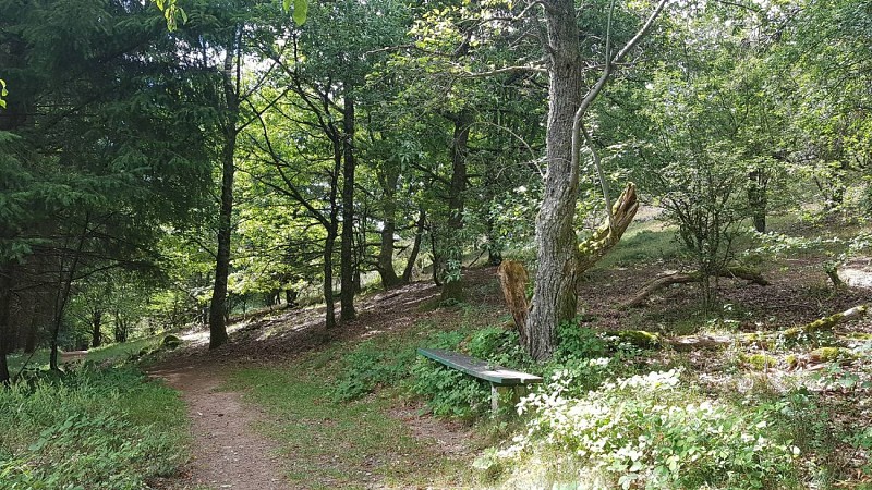 Outdoor stroller circuit C02: around the col de la Perheux