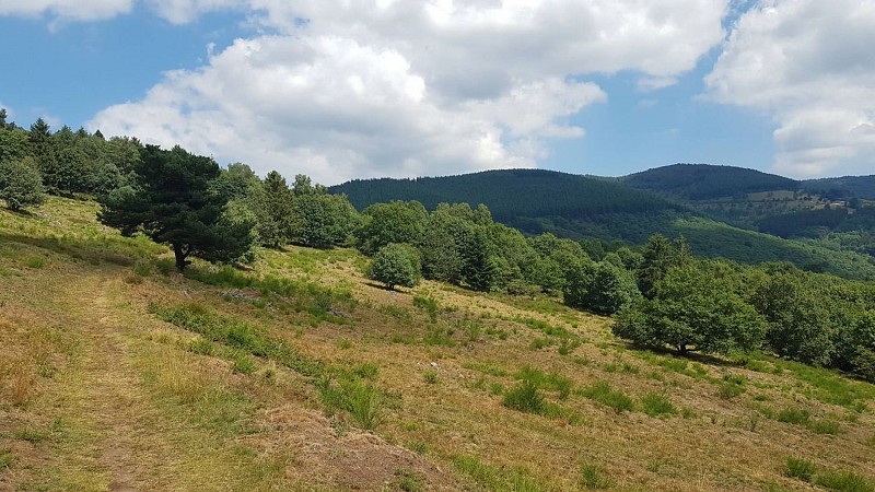 Outdoor stroller circuit C02: around the col de la Perheux