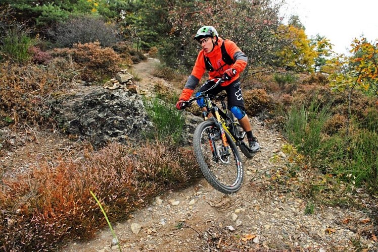 VTT All Mountain / enduro : Boenlesgrab - Wintzfelden - Lautenbach