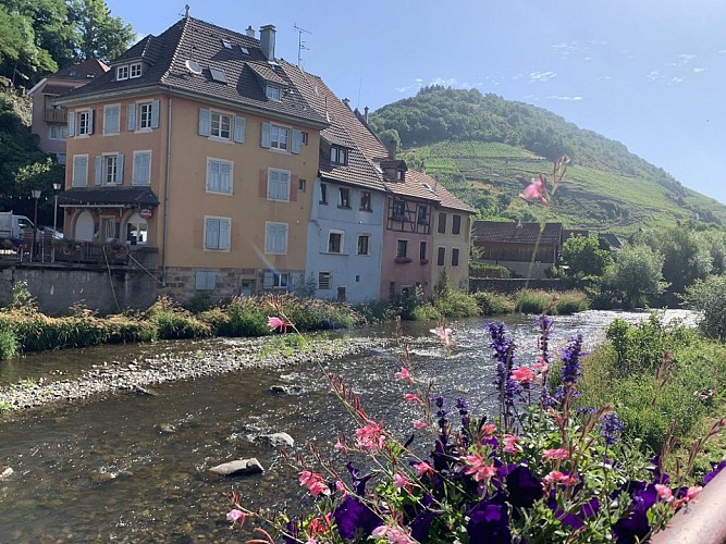 Walking Tour: The Grumbach Pass Via Engelbourg - Route Walk - Thann 