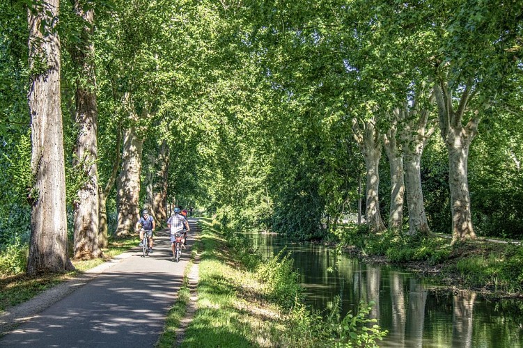BL551 - Découverte de la ceinture des forts de Strasbourg
