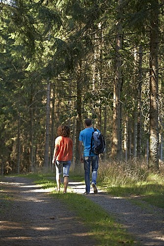 Thematischer Rundweg : Der Dichter Pfad