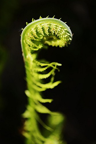 Thematischer Rundweg : Der Dichter Pfad